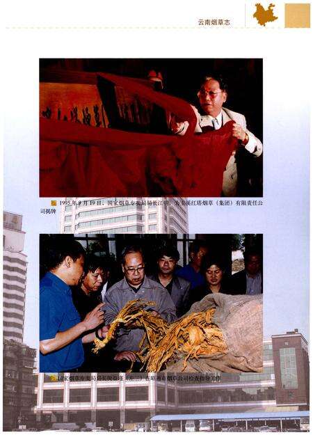 《云南烟草志 下卷》.pdf_云南省志预览图4