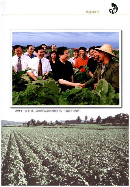 《曲靖烟草志》.pdf_云南省志预览图4