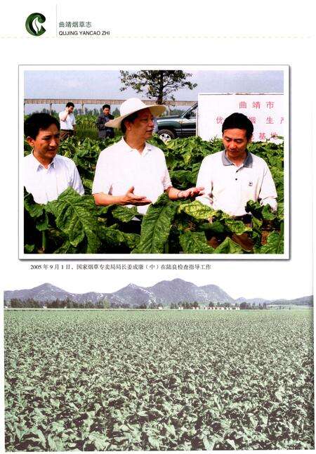 《曲靖烟草志》.pdf_云南省志预览图5