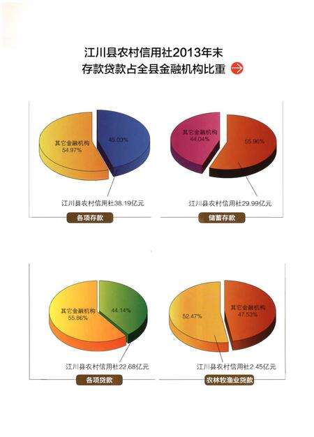 《江川县农村信用社志(1954-2013)》.pdf_云南省志预览图4