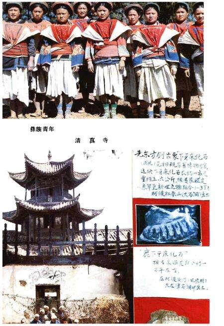 《寻甸回族彝族自治县概况》.pdf_云南省志预览图4