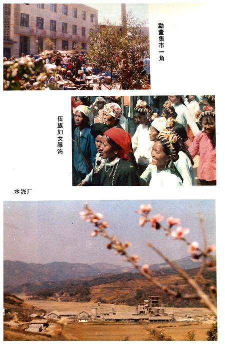 《《沧源佤族自治县概况》》.pdf_云南省志预览图5