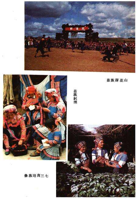 《文山壮族苗族自治州概况》.pdf_云南省志预览图5