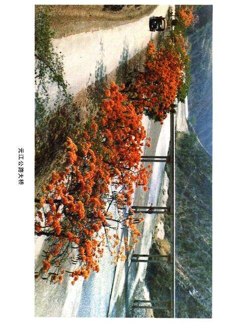 《元江哈尼族彝族傣族自治县概况》.pdf_云南省志预览图3