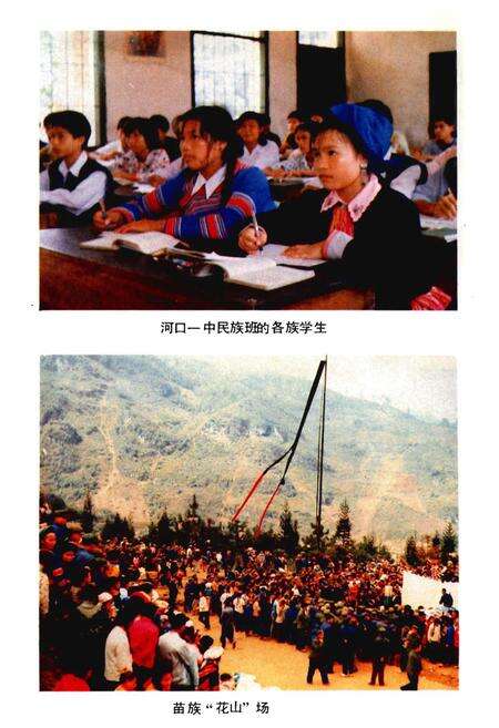 《河口瑶族自治县概况》.pdf_云南省志预览图4
