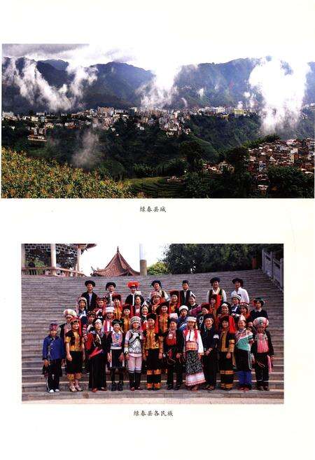 《绿春县民族志》.pdf_云南省志预览图5