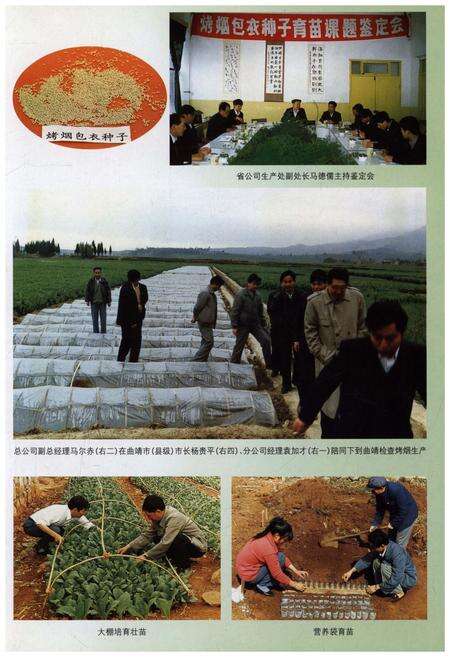 《曲靖地区烟草志》.pdf_云南省志预览图5