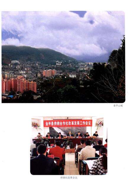 《金平苗族瑶族傣族自治县 供销合作社联合社志(1950-2014)》.pdf_云南省志预览图5