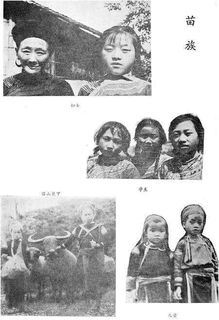 《云南苗族瑶族社会历史调查》.pdf_云南省志预览图2
