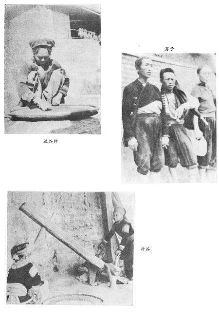 《云南苗族瑶族社会历史调查》.pdf_云南省志预览图3