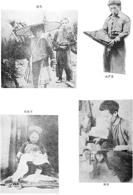 《云南苗族瑶族社会历史调查》.pdf_云南省志预览图4