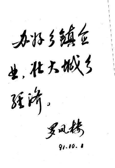 《祥云县城乡集体企业志》.pdf_云南省志预览图3