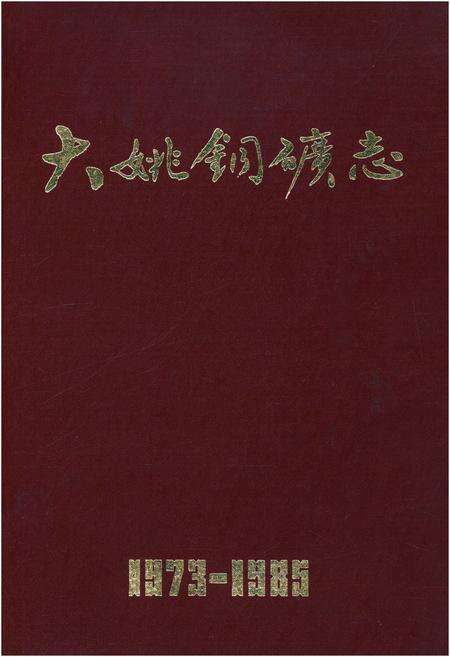 《大姚铜矿志1973-1985》.pdf_云南省志缩略图