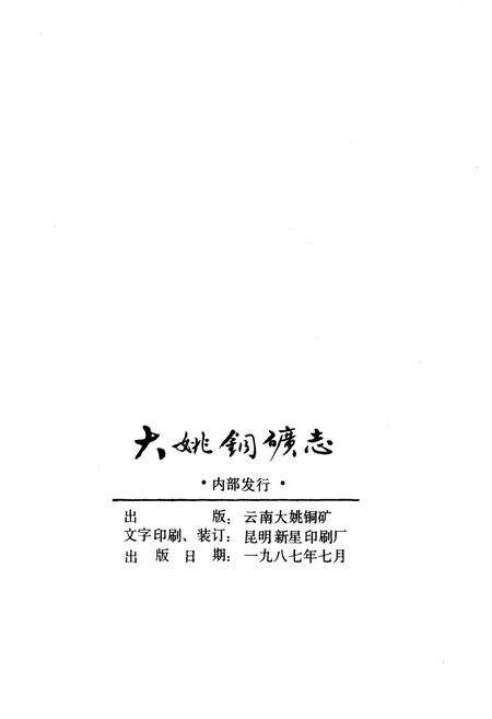 《大姚铜矿志1973-1985》.pdf_云南省志预览图2