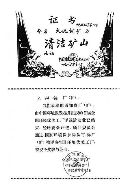 《大姚铜矿志1973-1985》.pdf_云南省志预览图5