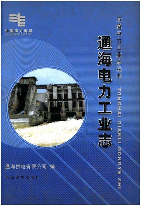 《通海电力工业志》.pdf_云南省志缩略图