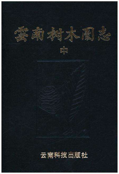 《云南树木图志》.pdf_云南省志缩略图