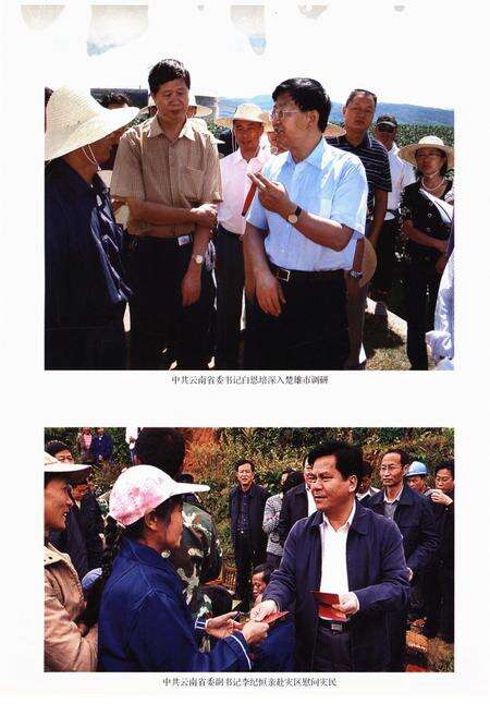 《云南省楚雄市民族志》.pdf_云南省志预览图4