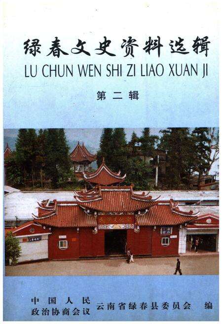 《绿春文史资料选辑(第二辑)》.pdf_云南省志缩略图