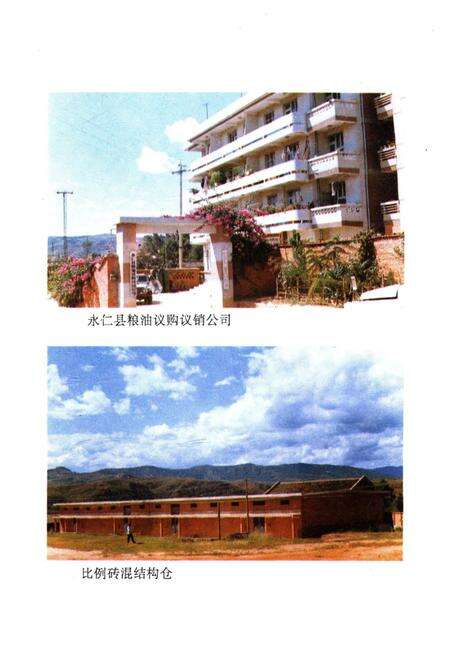 《永仁县粮食志》.pdf_云南省志预览图4