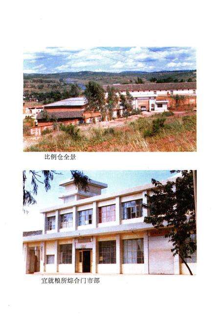 《永仁县粮食志》.pdf_云南省志预览图5