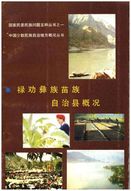 《禄劝彝族苗族自治县概况》.pdf_云南省志缩略图