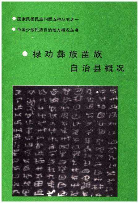 《禄劝彝族苗族自治县概况》.pdf_云南省志预览图4