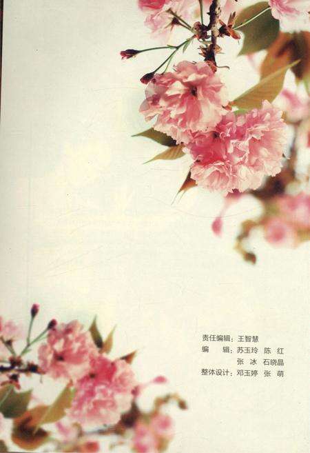 《云南财经大学教育国际化大事记》.pdf_云南省志预览图2