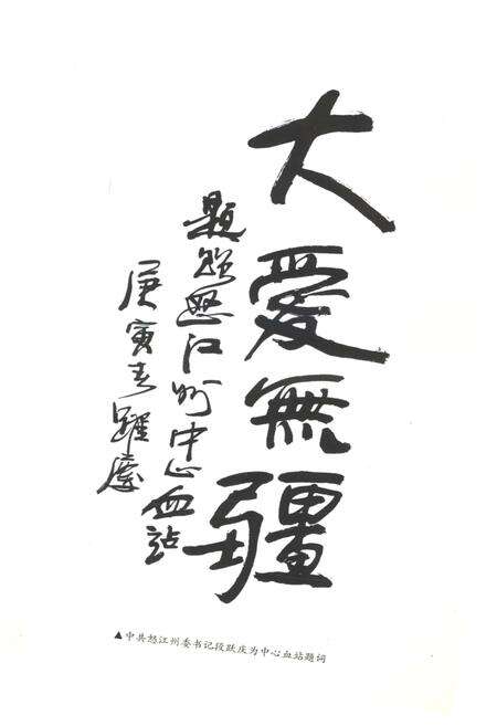 《怒江州中心血站志》.pdf_云南省志预览图4