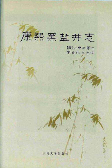 《康熙黑盐井志八卷》.pdf_云南省志预览图1