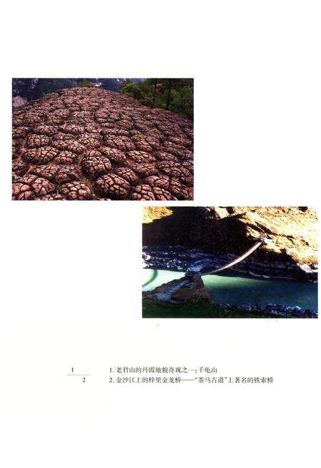 《当代云南纳西族简史》.pdf_云南省志预览图5