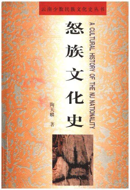 《怒族文化史》.pdf_云南省志缩略图