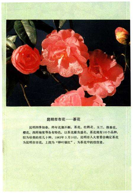 《云南地州市县概况 昆明市分册》.pdf_云南省志预览图4