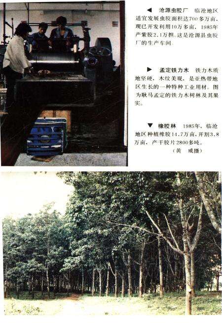 《云南地州市县概况–临沧地区分册》.pdf_云南省志预览图5