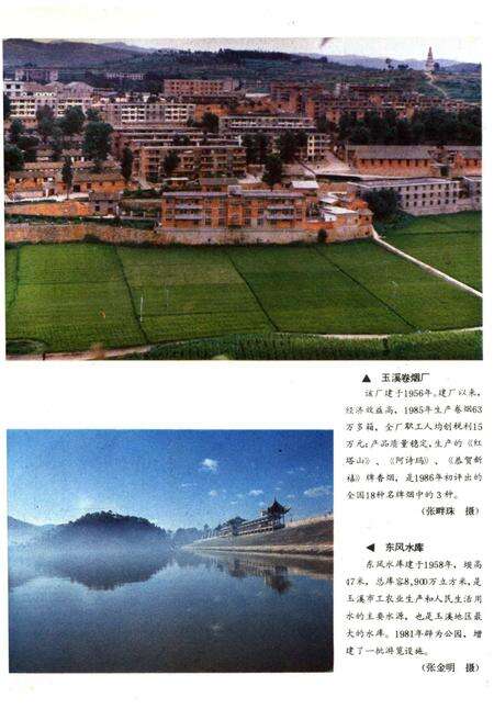 《云南地州市县概况–玉溪地区分册》.pdf_云南省志预览图4