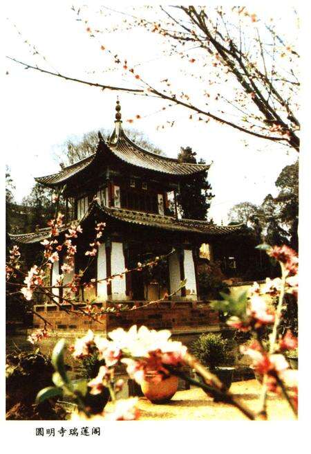 《通海县概况》.pdf_云南省志预览图5