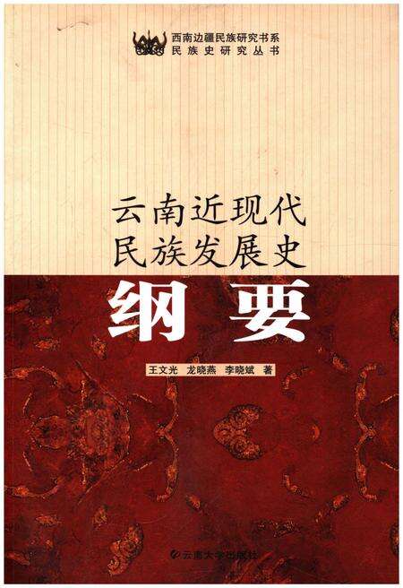 《云南近现代民族发展史纲要》.pdf_云南省志缩略图