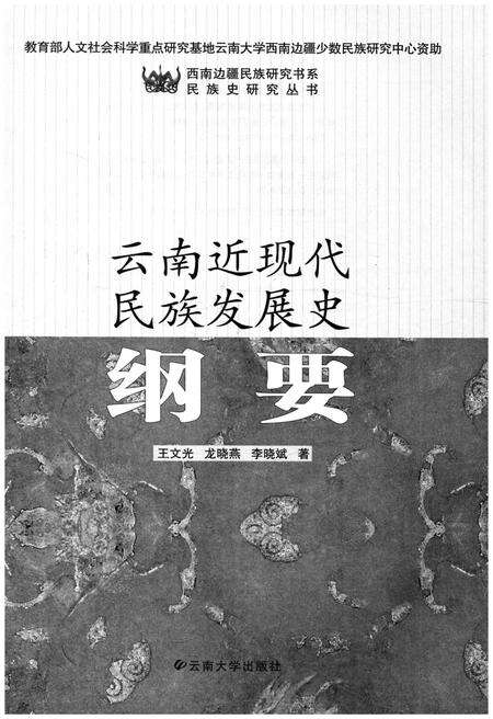 《云南近现代民族发展史纲要》.pdf_云南省志预览图1