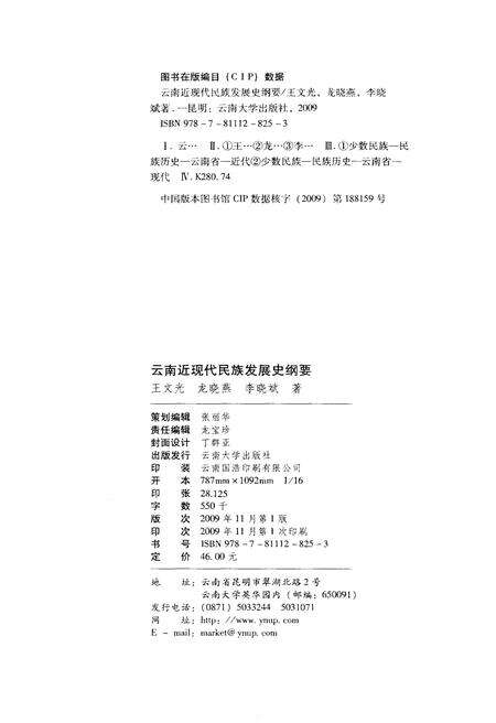 《云南近现代民族发展史纲要》.pdf_云南省志预览图2