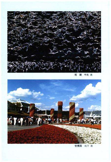 《中国西部概览 云南》.pdf_云南省志预览图5