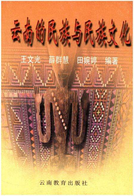 《云南的民族与民族文化》.pdf_云南省志缩略图