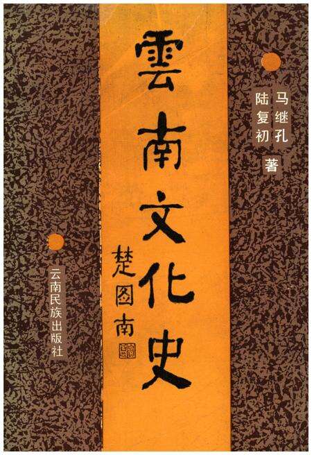 《云南文化史》.pdf_云南省志缩略图