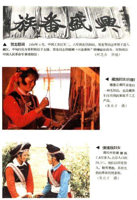 《云南地州市县概况 迪庆藏族自治州分册》.pdf_云南省志预览图5