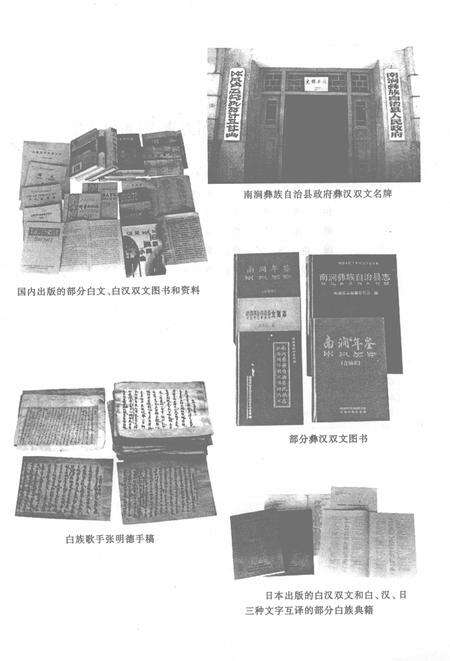 《中华人民共和国地方志丛书  大理白族自治州方言志》.pdf_云南省志预览图5