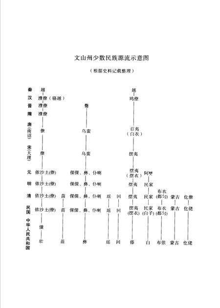 《文山壮族苗族自治州民族志》.pdf_云南省志预览图5