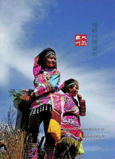 《大美彝州》.pdf_云南省志缩略图