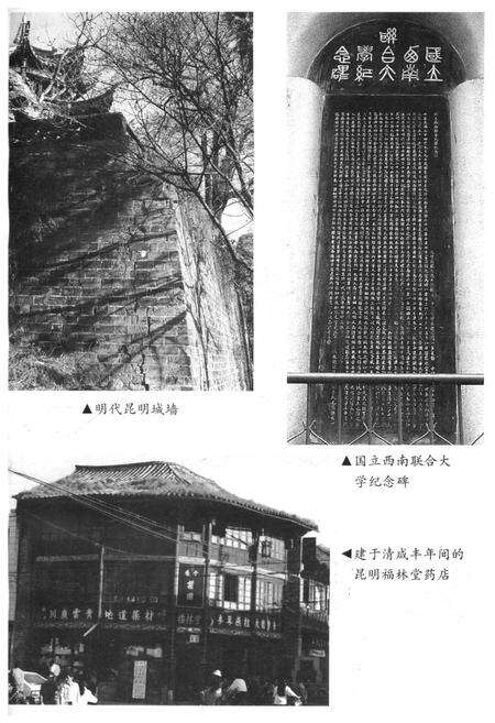 《近代昆明城市史》.pdf_云南省志预览图4