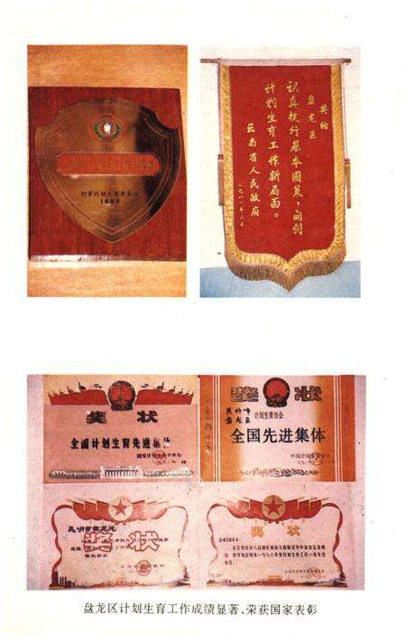 《盘龙区计划生育志》.pdf_云南省志预览图4