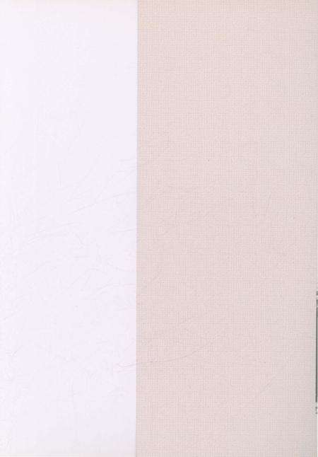 《易门县文化志》.pdf_云南省志预览图1