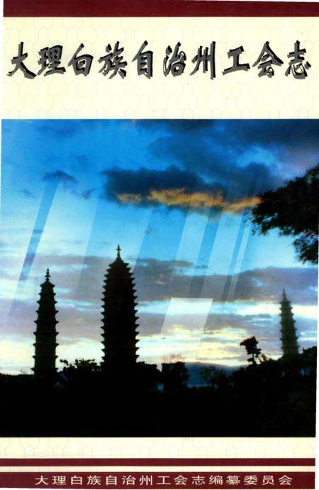 《大理白族自治州工会志》.pdf_云南省志缩略图